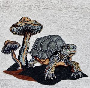 Tortoise